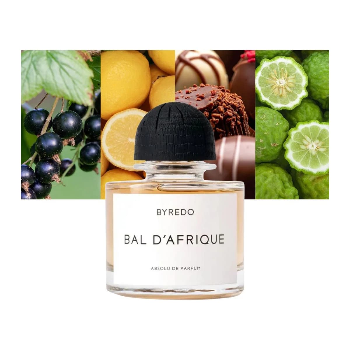 Bal d'Afrique Absolu 2