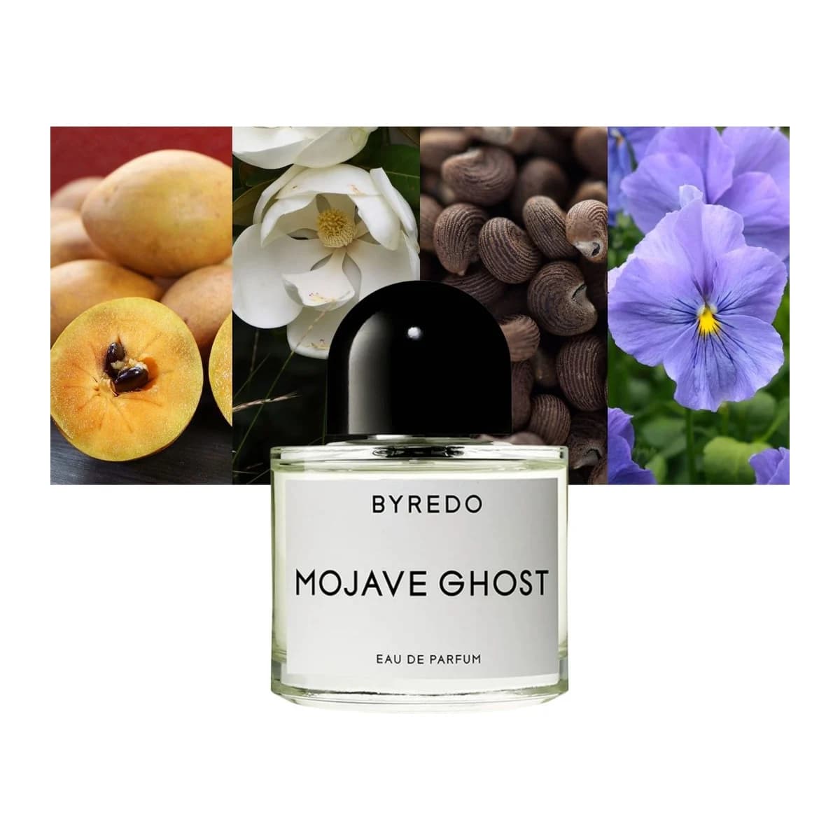 Mojave Ghost 3