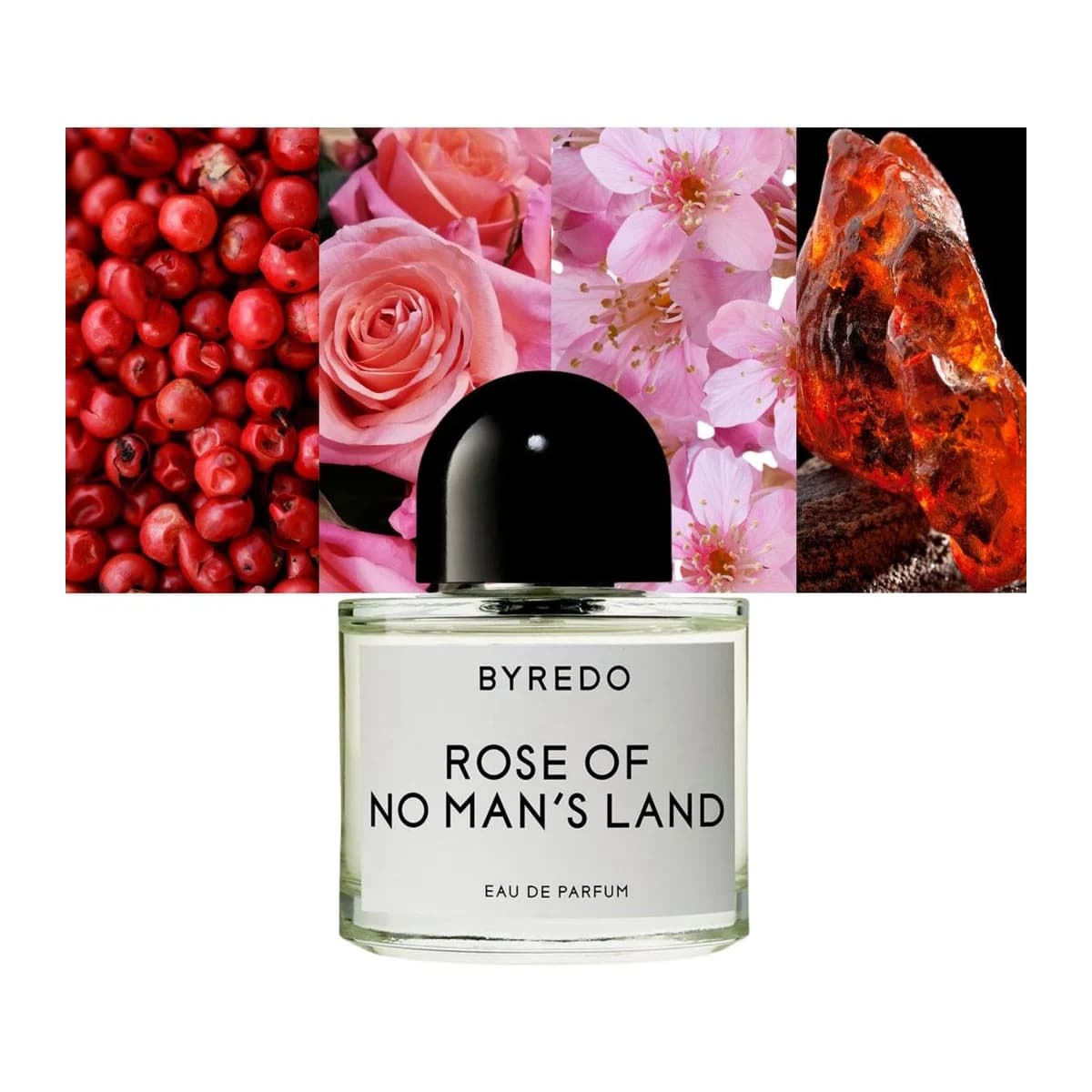 Rose of No Man's Land 2