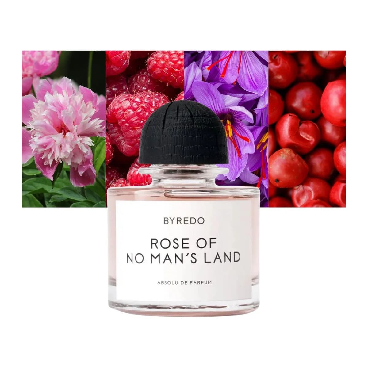 Rose of No Man's Land Absolu 2