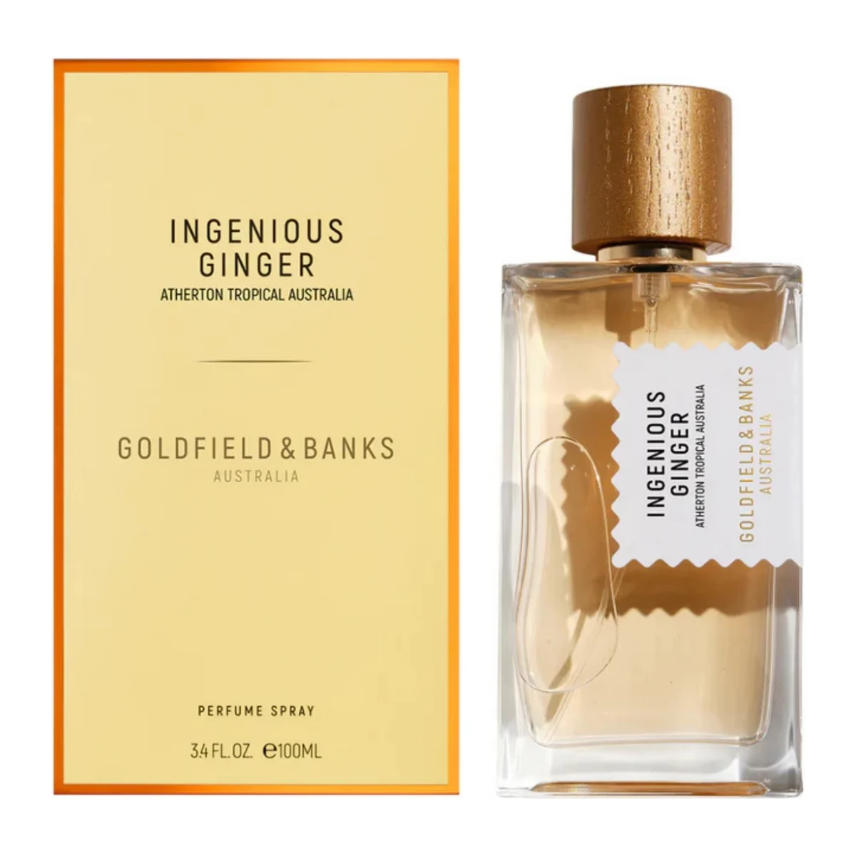 Ingenious Ginger 2