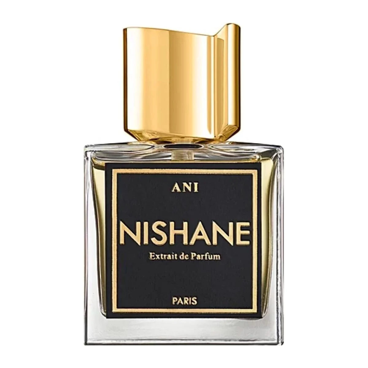 Ani 3