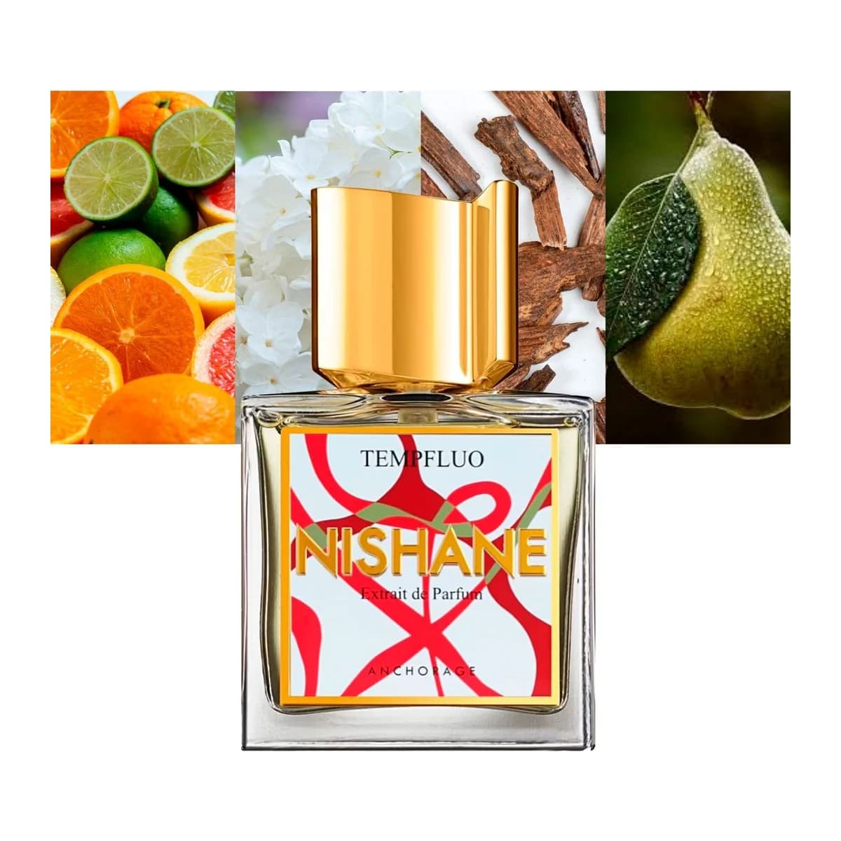 Tempfluo 2