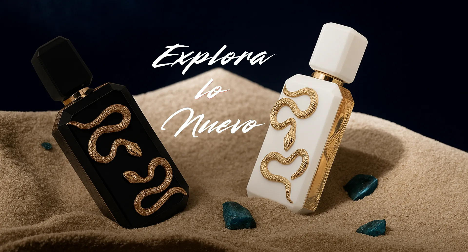 Explorar Novedades